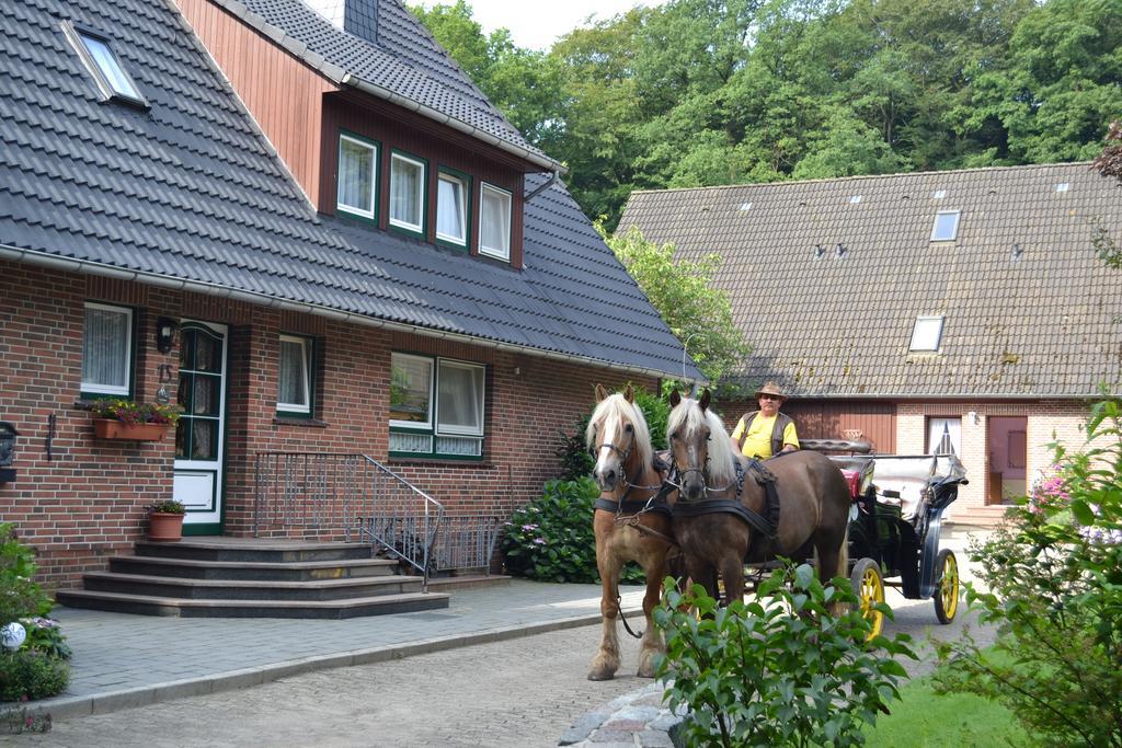 Apartment Hillmer Bispingen Luaran gambar